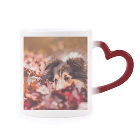Dıythinker Kırmızı Çok Renkli Köpek Evcil Hayvan Hayvan Yaprak Fotoğraf Şekil Isıya Duyarlı Kalp Kupası
