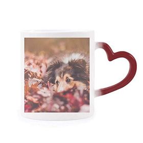 Dıythinker Kırmızı Çok Renkli Köpek Evcil Hayvan Hayvan Yaprak Fotoğraf Şekil Isıya Duyarlı Kalp Kupası