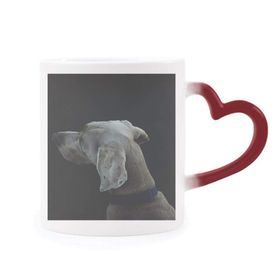 Dıythinker Kırmızı Çok Renkli Köpek Evcil Hayvan Yalnız Gece Isıya Duyarlı Kalp Kupası