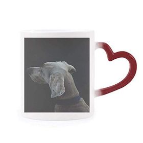 Dıythinker Kırmızı Çok Renkli Köpek Evcil Hayvan Yalnız Gece Isıya Duyarlı Kalp Kupası