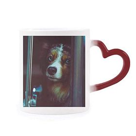 Dıythinker Kırmızı Çok Renkli Köpek Evcil Hayvan Yalnız Resim Isıya Duyarlı Kalp Kupası