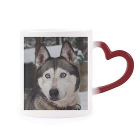 Dıythinker Kırmızı Çok Renkli Köpek Hayvan Kar Husky Fotoğrafçılık Şekil Isıya Duyarlı Kalp Kupası