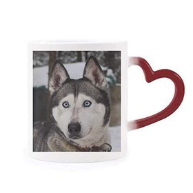Dıythinker Kırmızı Çok Renkli Köpek Hayvan Kar Husky Fotoğrafçılık Şekil Isıya Duyarlı Kalp Kupası