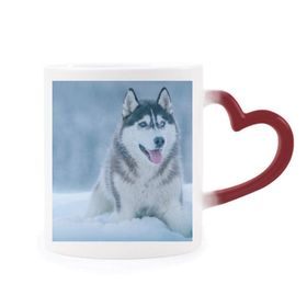 Dıythinker Kırmızı Çok Renkli Köpek Hayvan Kar Husky Resim Şekil Isıya Duyarlı Kalp Kupa
