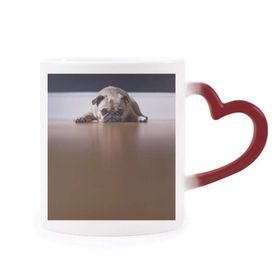 Dıythinker Kırmızı Çok Renkli Köpek Hayvan Oda Zemin Resmi Şekil Isıya Duyarlı Kalp Kupa