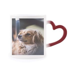 Dıythinker Kırmızı Çok Renkli Köpek Küçük Hayvan Yalnız Fotoğraf Isıya Duyarlı Kalp Kupası