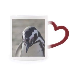 Dıythinker Kırmızı Çok Renkli Sevimli Penguenler Bilim Doğa Resim Şekil Isıya Duyarlı Kalp Kupa