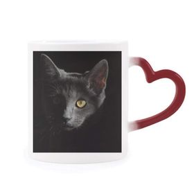 Dıythinker Kırmızı Çok Renkli Siyah Kedi Hayvan Vahşi Görünüş Koyu Renk Isıya Duyarlı Kalp Kupası
