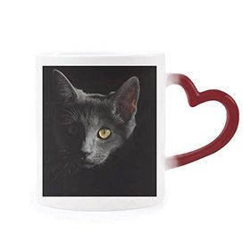 Dıythinker Kırmızı Çok Renkli Siyah Kedi Hayvan Vahşi Görünüş Koyu Renk Isıya Duyarlı Kalp Kupası
