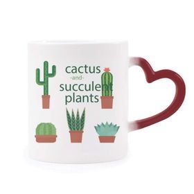 Dıythinker Kırmızı Çok Renkli Succulents Saksı Bitki Kaktüs İllüstrasyon Isıya Duyarlı Kalp Kupası