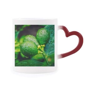 Dıythinker Kırmızı Çok Renkli Taze Meyveler Limon Resim Fotoğrafçılığı Isıya Duyarlı Kalp Kupası