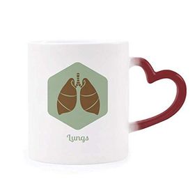 Dıythinker Kırmızı Çok Renkli Vücut Organları Akciğer Organları Şekil Isıya Duyarlı Kalp Kupası
