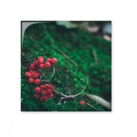 Dıythinker Kırmızı Meyve Orman Bilim Doğa Manzarası 20x20 cm Seramik Karo