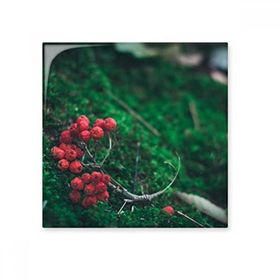 Dıythinker Kırmızı Meyve Orman Bilim Doğa Manzarası 20x20 cm Seramik Karo