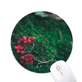 Dıythinker Kırmızı Meyve Orman Bilim Doğa Manzarası Baskılı Yuvarlak Kaymaz Kauçuk Mouse Pad