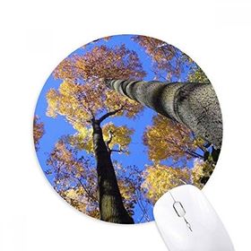 Dıythinker Kırmızı Yapraklar Bilim Doğa Manzarası Baskılı Yuvarlak Kaymaz Kauçuk Mouse Pad