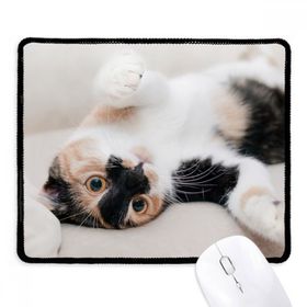 Dıythinker Kitty Cat Stripes Relax Sleep Animal Kaymaz Siyah Başlıklı Kenarlar Mouse Pad