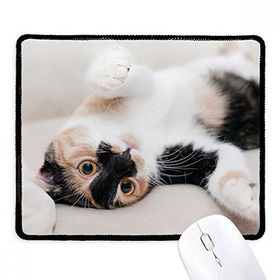 Dıythinker Kitty Cat Stripes Relax Sleep Animal Kaymaz Siyah Başlıklı Kenarlar Mouse Pad