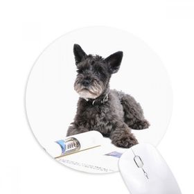 Dıythinker Köpek Evcil Hayvan Fotoğrafçılık Resimler Baskılı Yuvarlak Kaymaz Kauçuk Mouse Pad