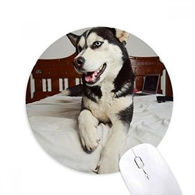 Dıythinker Köpek Hayvan Oda Husky Resim Baskılı Yuvarlak Kaymaz Kauçuk Mouse Pad