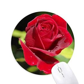 Dıythinker Koyu Kırmızı Güller Çiçekler Baskılı Yuvarlak Kaymaz Kauçuk Mouse Pad
