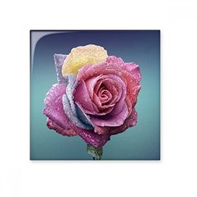 Dıythinker Koyu Pembe Güller Loş Çiçek Seramik 10x10 cm Seramik Karo