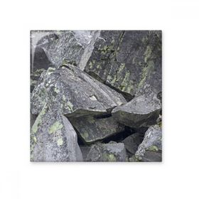Dıythinker Koyu Taş Parçaları Duvar Kağıdı Çatlaklar Yosun 15x15 cm Seramik Karo