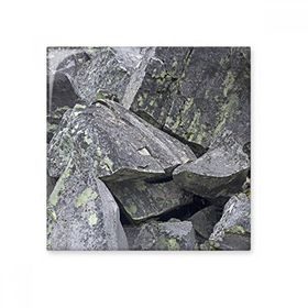 Dıythinker Koyu Taş Parçaları Duvar Kağıdı Çatlaklar Yosun 15x15 cm Seramik Karo