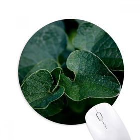 Dıythinker Koyu Yaprak Bitki Resmi Doğa Baskılı Yuvarlak Kaymaz Kauçuk Mouse Pad