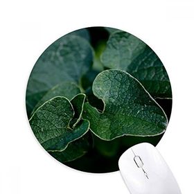 Dıythinker Koyu Yaprak Bitki Resmi Doğa Baskılı Yuvarlak Kaymaz Kauçuk Mouse Pad