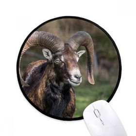 Dıythinker Koyun Ormancılık Bilim Doğa Yuvarlak Kaymaz Mouse Pad