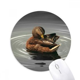 Dıythinker Kuğu Organizması Hayvan Fotoğrafçılığı Baskılı Yuvarlak Kaymaz Kauçuk Mouse Pad