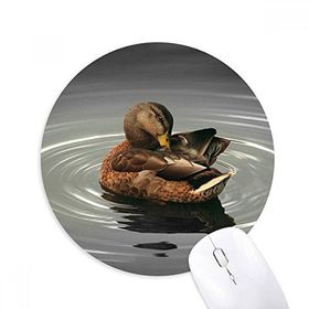 Dıythinker Kuğu Organizması Hayvan Fotoğrafçılığı Baskılı Yuvarlak Kaymaz Kauçuk Mouse Pad