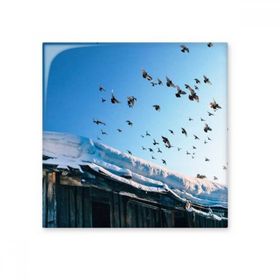 Dıythinker Kuşlar Evi Beyaz Kar Gökyüzü Seramik 10x10 cm Seramik Karo