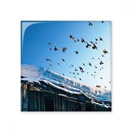 Dıythinker Kuşlar Evi Beyaz Kar Gökyüzü Seramik 10x10 cm Seramik Karo