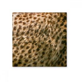 Dıythinker Leopar Tüyü Soyut Tasarım 10x10 cm Seramik Karo