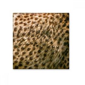 Dıythinker Leopar Tüyü Soyut Tasarım 10x10 cm Seramik Karo