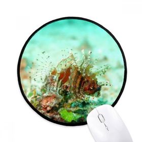 Dıythinker Lionfish Okyanus Deniz Deniz Organizma Yuvarlak Kaymaz Mouse Pad