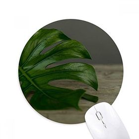 Dıythinker Masa Yaprağı Bitki Resmi Doğa Baskılı Yuvarlak Kaymaz Kauçuk Mouse Pad