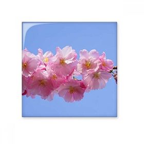 Dıythinker Mavi Gökyüzü Pembe Güzel Çiçekler 15x15 cm Seramik Karo
