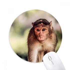 Dıythinker Maymun Karasal Organizma Vahşi Hayvan Baskılı Yuvarlak Kaymaz Kauçuk Mouse Pad