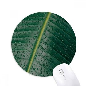 Dıythinker Muz Yaprağı Bitki Resmi Doğa Dünya Baskılı Yuvarlak Kaymaz Kauçuk Mouse Pad