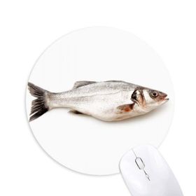 Dıythinker Ocean Fish Canlı Aktivite Baskılı Yuvarlak Kaymaz Kauçuk Mouse Pad