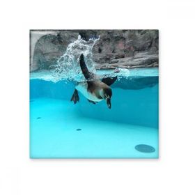 Dıythinker Okyanus Antarktik Penguen Bilim Doğa Resim 20x20 cm Seramik Karo