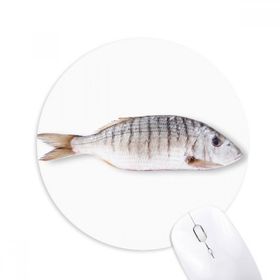 Dıythinker Okyanus Balık Etkinliği Kıvırcık Baskılı Yuvarlak Kaymaz Kauçuk Mouse Pad