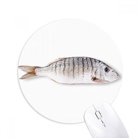 Dıythinker Okyanus Balık Etkinliği Kıvırcık Baskılı Yuvarlak Kaymaz Kauçuk Mouse Pad