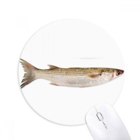 Dıythinker Okyanus Balık Taze Aktivite Baskılı Yuvarlak Kaymaz Kauçuk Mouse Pad