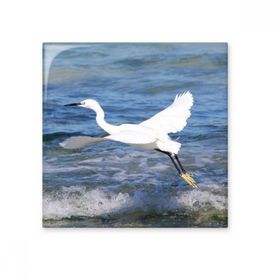 Dıythinker Okyanus Beyaz Kuş Deniz Resmi Seramik 10x10 cm Seramik Karo
