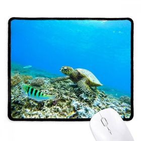 Dıythinker Okyanus Deniz Kaplumbağa Balık Bilim Doğa Resim Kaymaz Siyah Başlıklı Kenarlar Mouse Pad