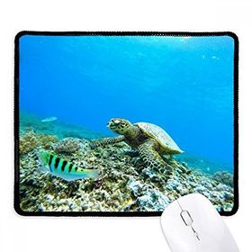 Dıythinker Okyanus Deniz Kaplumbağa Balık Bilim Doğa Resim Kaymaz Siyah Başlıklı Kenarlar Mouse Pad